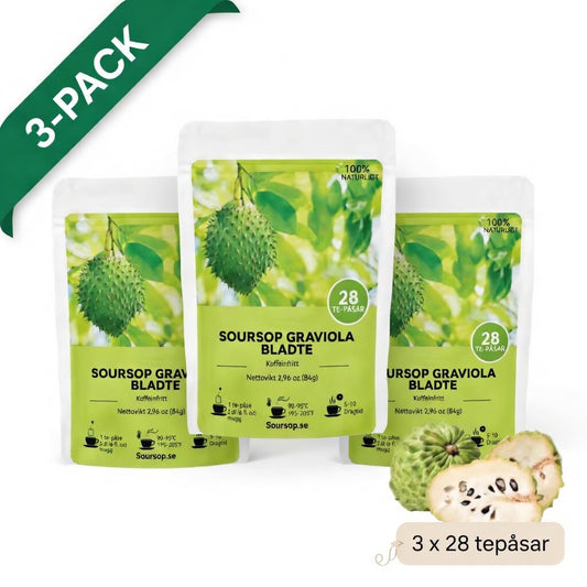 Ekologiskt Graviola-te – 3 Förpackningar (Mest Populär) ⭐